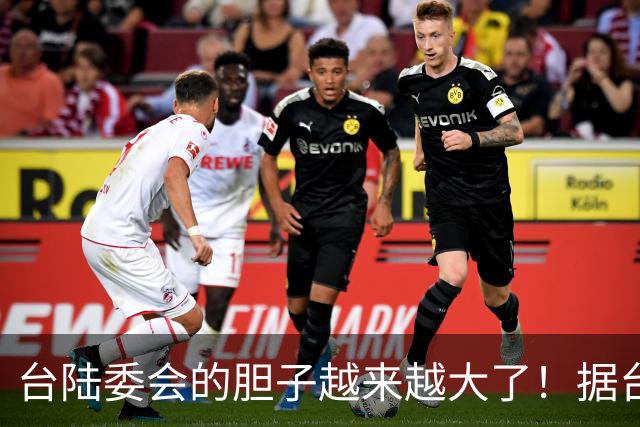 台陆委会的胆子越来越大了！据台《联合报》报道