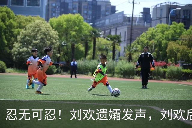忍无可忍！刘欢遗孀发声，刘欢后事安排曝光，原来很多人都猜错了