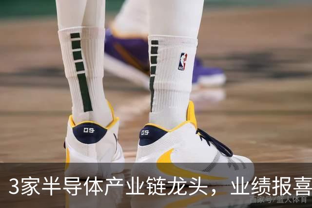 3家半导体产业链龙头，业绩报喜！