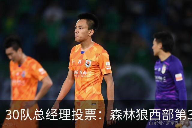 30队总经理投票：森林狼西部第3，却又被选为最难预测